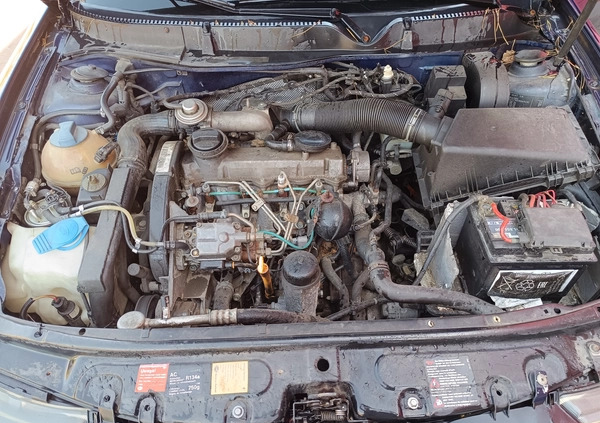 Seat Leon cena 3099 przebieg: 224700, rok produkcji 2001 z Wrocław małe 56